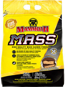 MASS by Mammoth