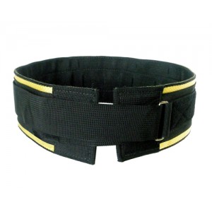 Tri-tex Exercise and Lifting Belt by WSF