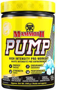 Pump by Mammoth