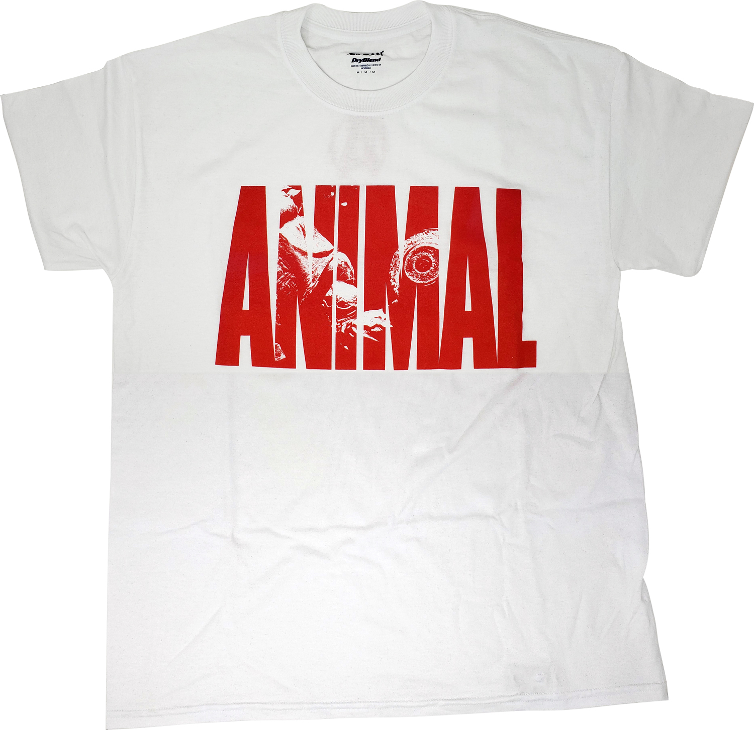 animal world tee shirts