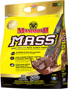 MASS by Mammoth